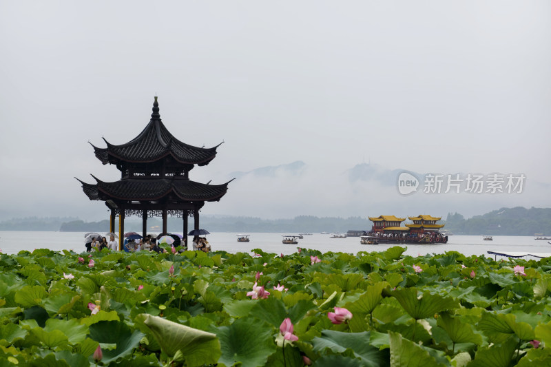 水墨西湖