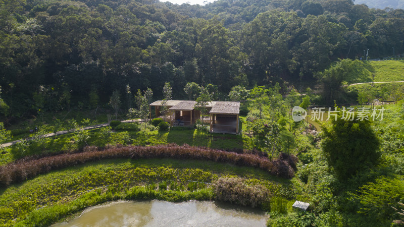 深圳盐田恩上湿地公园风景