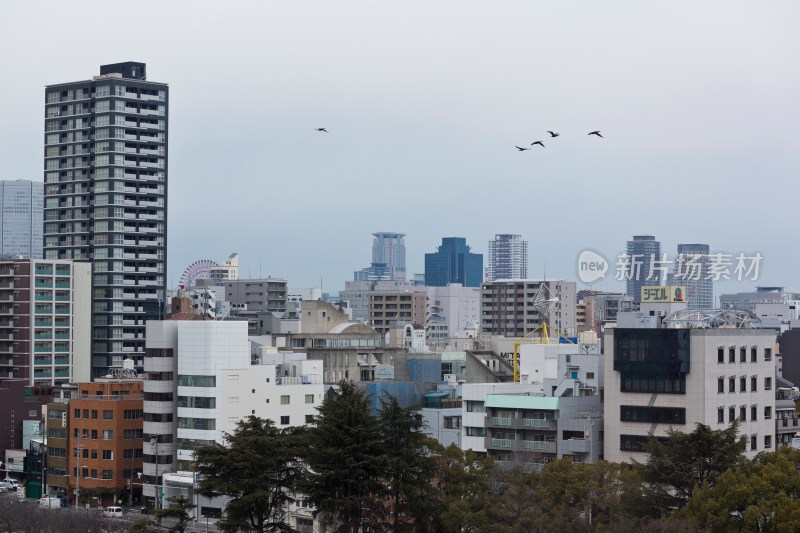 日本大阪城