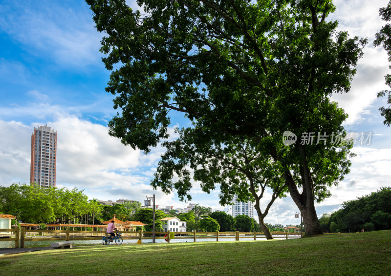 绿树草坪边有人骑自行车的公园场景