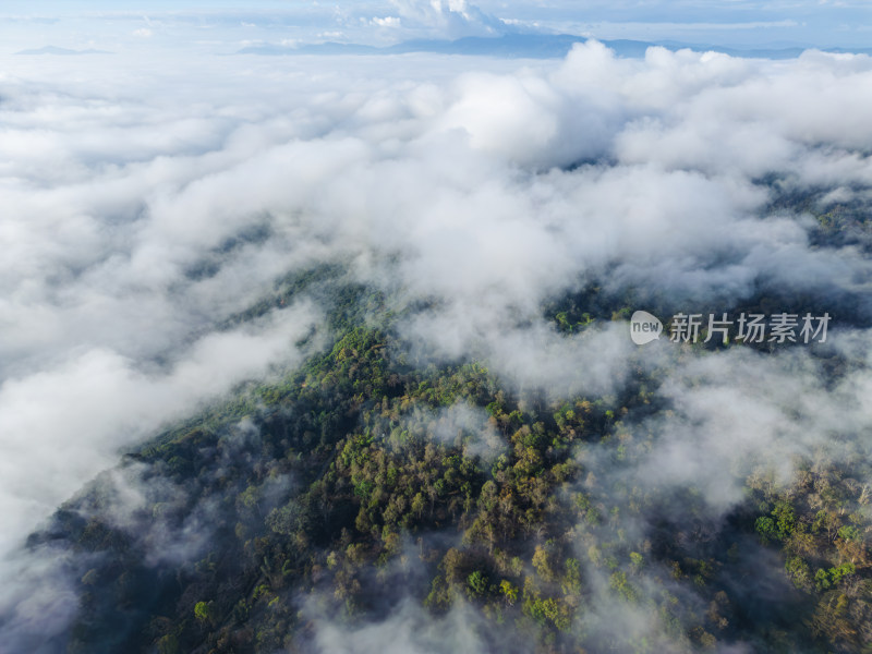 航拍视角下的景迈山云海森林自然风光