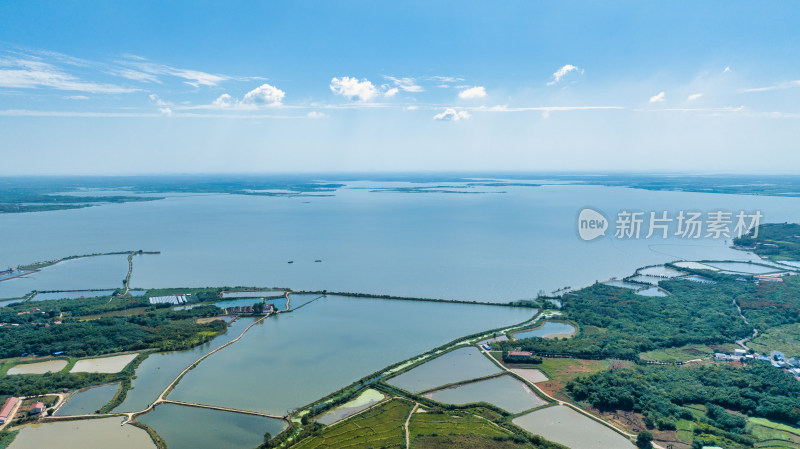 湖北省武汉市江夏区鲁湖