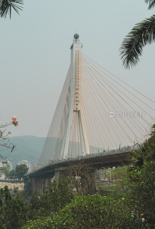 西双版纳景洪市的建筑和景观