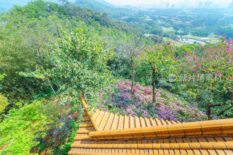 广州麓湖公园鸿鹄楼屋檐与山林鲜花景观