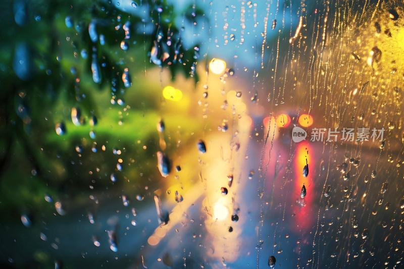 自然风景植物背景雨水