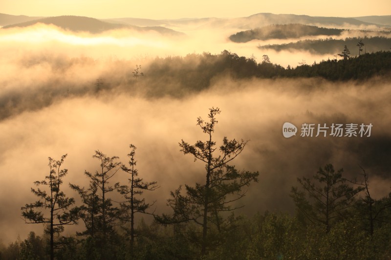 云雾缭绕的山林晨曦朝阳