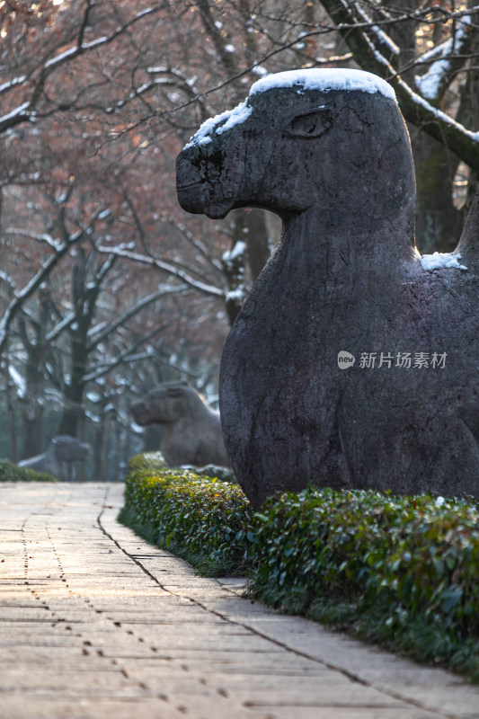 南京明孝陵石象路神道雪景