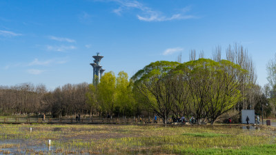 奥林匹克公园湿地公园