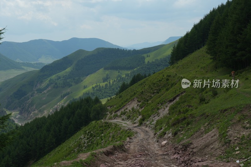 麻田岭夏季风光