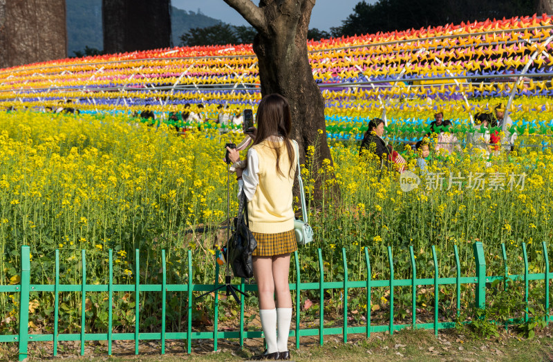 福州花海公园女孩在油菜花田拍照场景