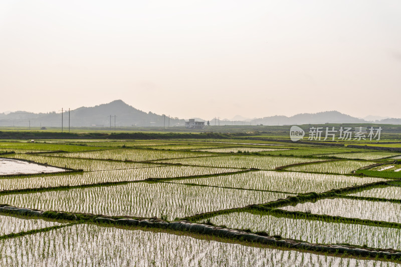 贵州安顺田园风景风光