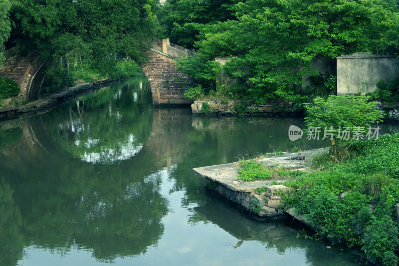 荒废堤岸上的夜鹭