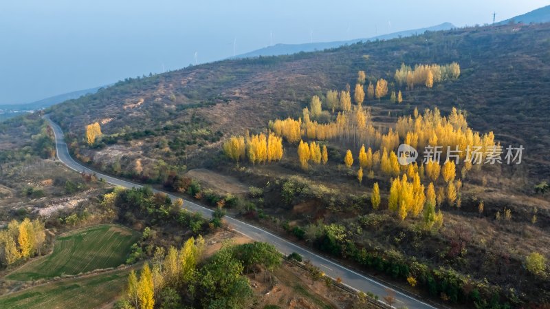 秋天乡村自然风景公路交通