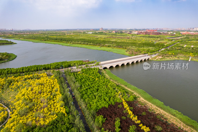 天津海河教育园区湿地公园自然风光航拍