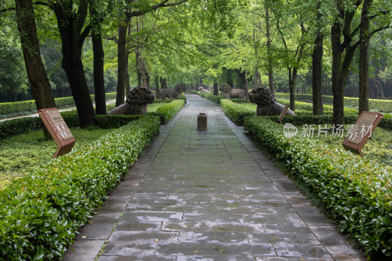 南京钟山风景区明孝陵神道