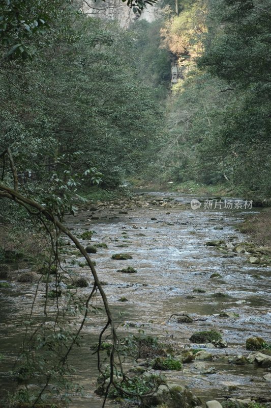 山林间的溪流风景