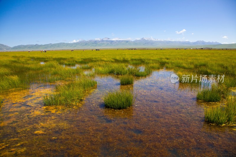 四川阿坝诺尔盖花湖