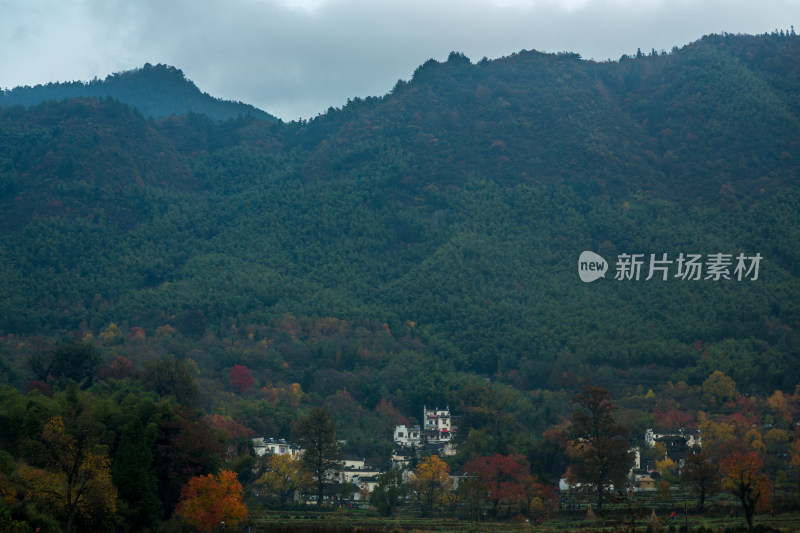 塔川的秋天