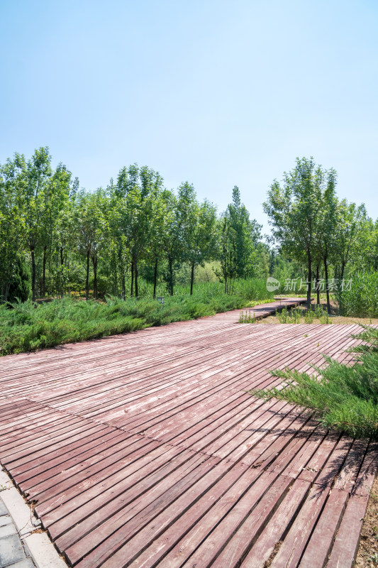 北京昌平未来科学城滨水公园