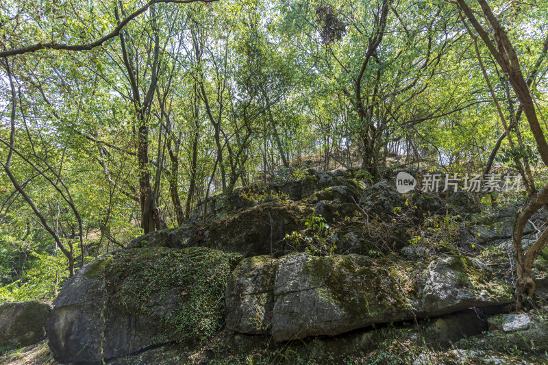 武汉江夏区白云洞景区风景