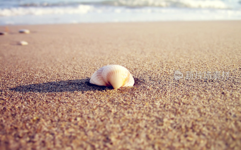 海滩沙滩海岸线