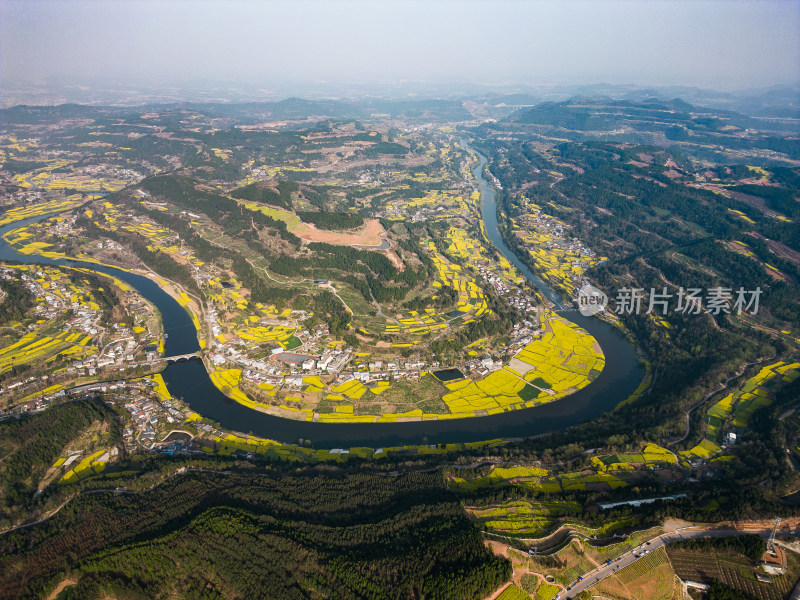 德阳旌阳区双东镇凯江大回湾油菜花风景航