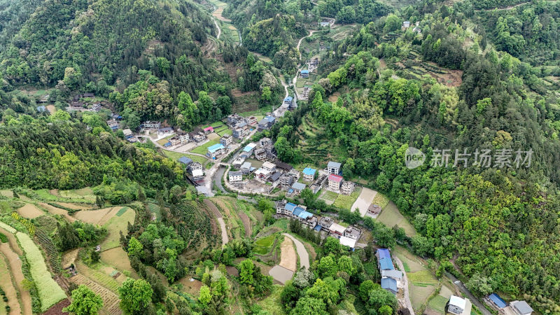 重庆酉阳：绿树成荫掩农家