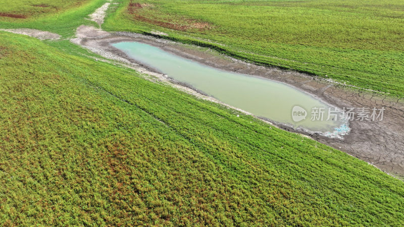 山东枣庄周村水库湿地草原风光