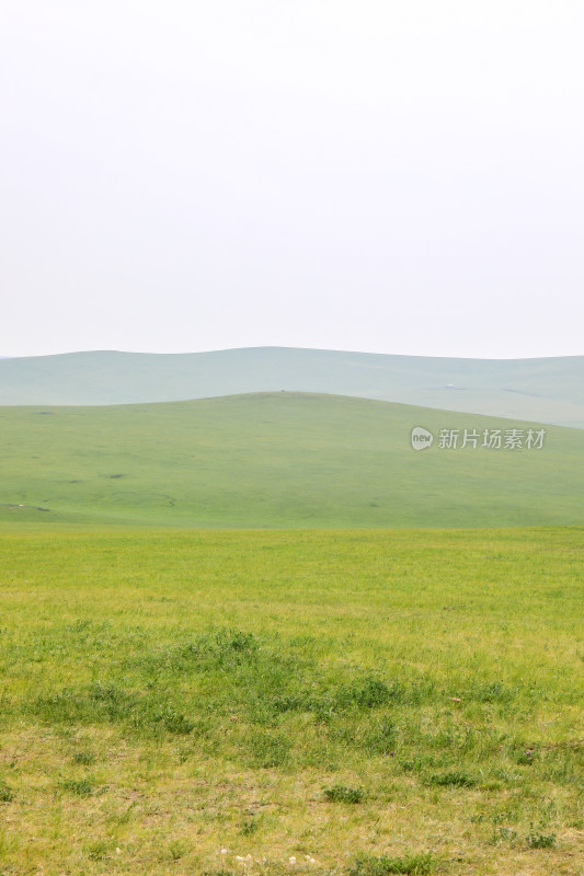 呼伦贝尔大草原