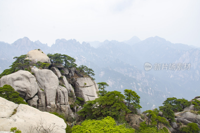 黄山松崖绝壁 奇松怪石 峰峦叠嶂