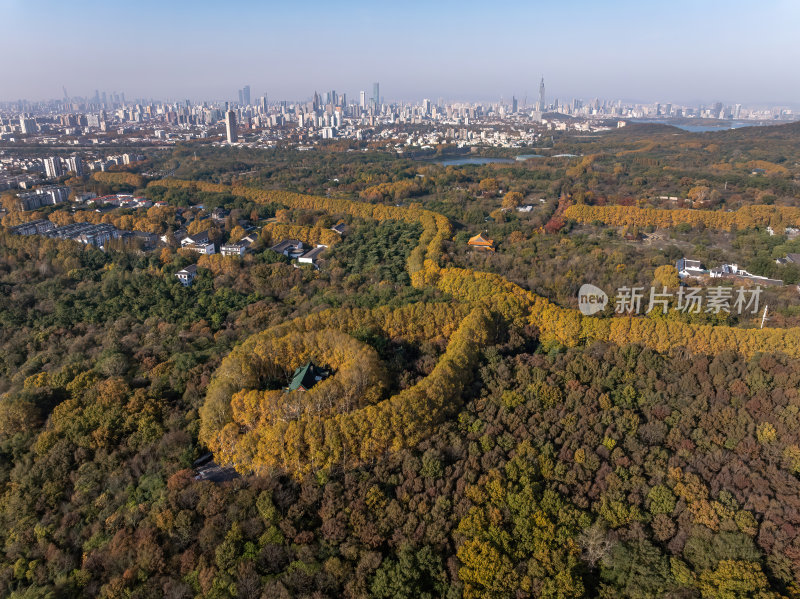 江苏南京中山陵美玲宫浪漫金秋项链航拍