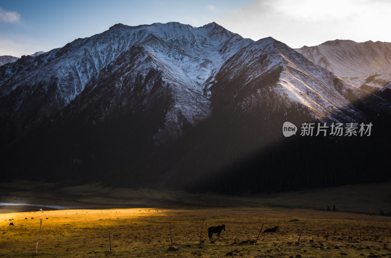 新疆夏塔牧场日落时分阳光下的雪山与草原