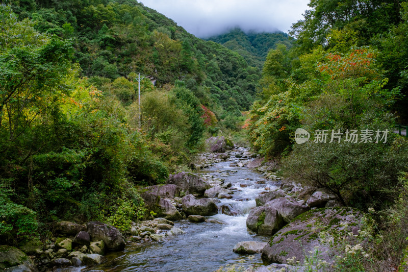 汉中留坝火烧店镇秦岭深处的山中小溪