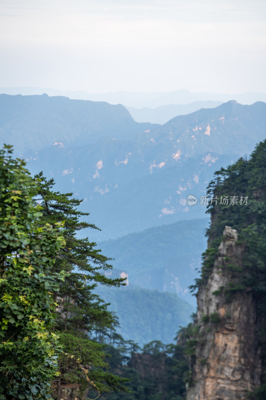 中国湖南张家界的壮丽山脉景观