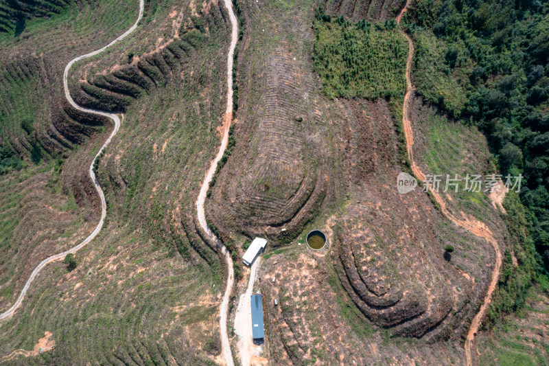 山坡上的梯田 经济作物种植基地