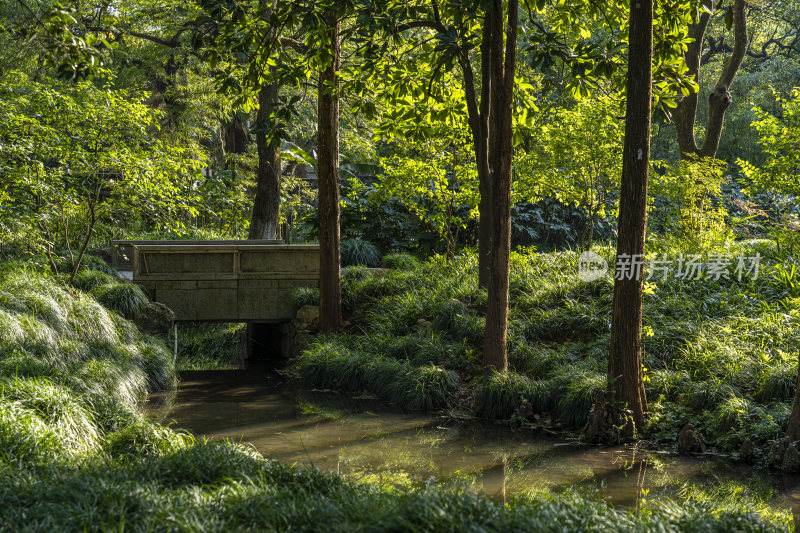 杭州西子湖畔杭州花圃风景