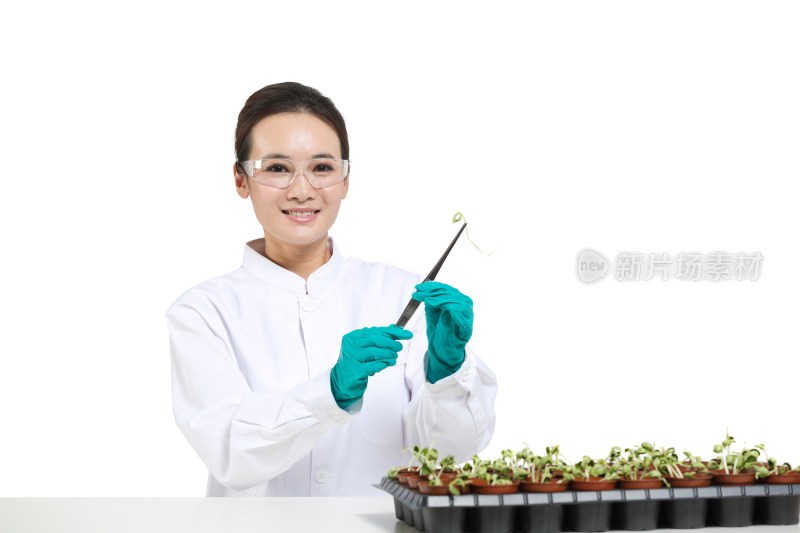 女科学家研究观察植物幼苗