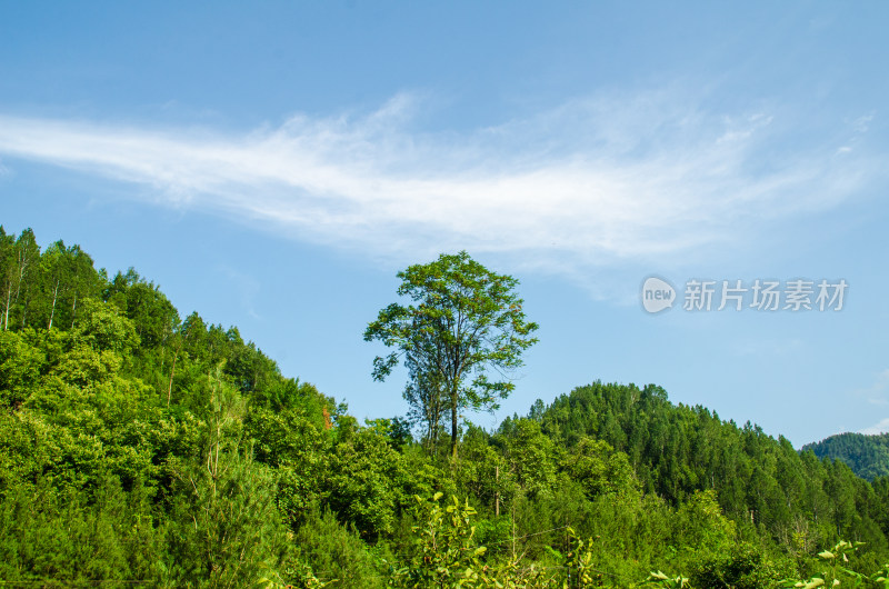 陕西秦岭辋川溶洞景区山林绿树蓝天风景