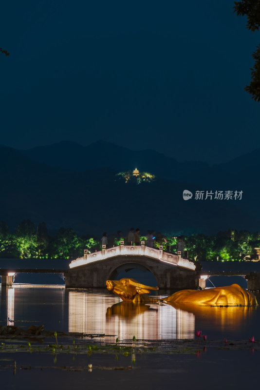 西湖夜景中灯光映照的桥与雕塑