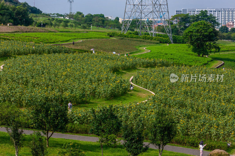 深圳陌上花公园