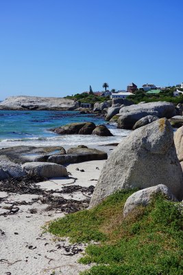 南非博尔德斯海滩Boulders Beach，自然风景