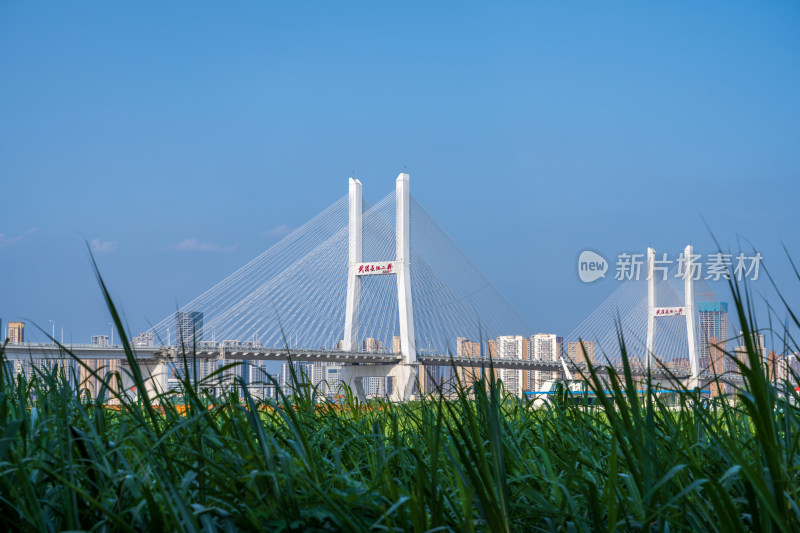 夏季白天武汉长江二桥与城市天际线风光