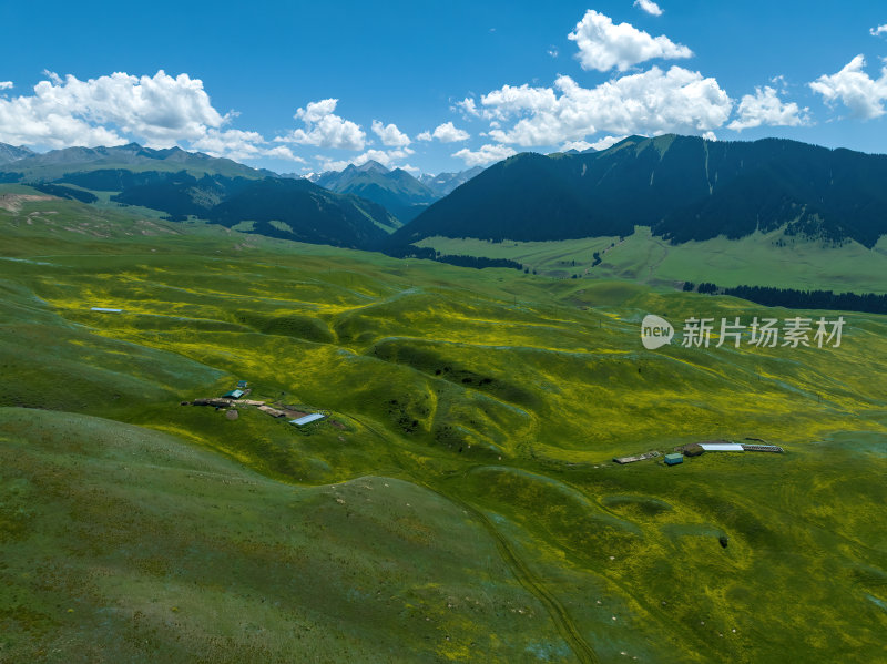 新疆北疆伊犁喀纳峻大草原高空航拍