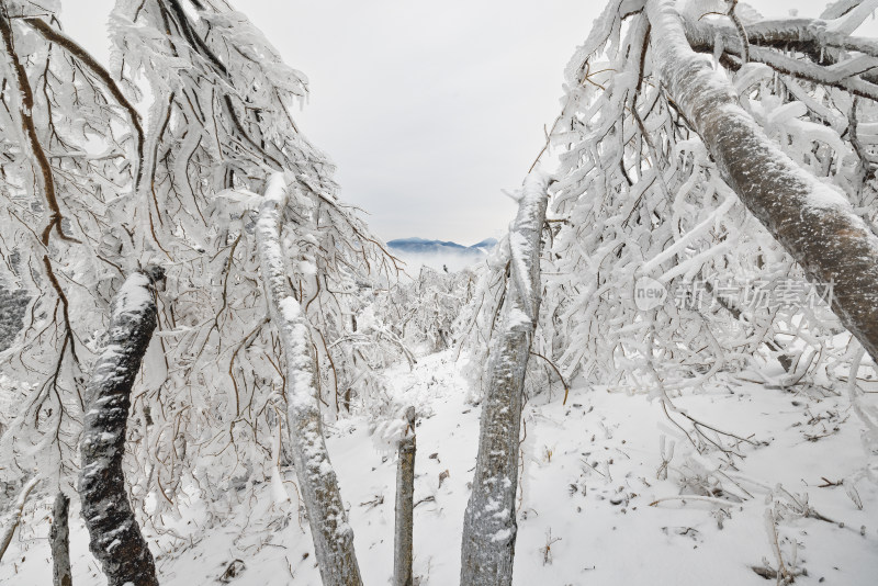 安吉董岭村天目山脉雪景雾凇冻雨云雾