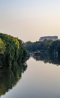 德州古运河河畔绿树与城市建筑景观