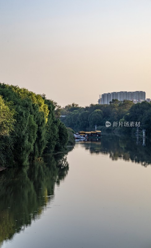 德州古运河河畔绿树与城市建筑景观