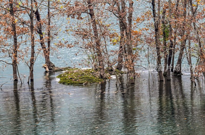 重庆酉阳：绿水青山林更红