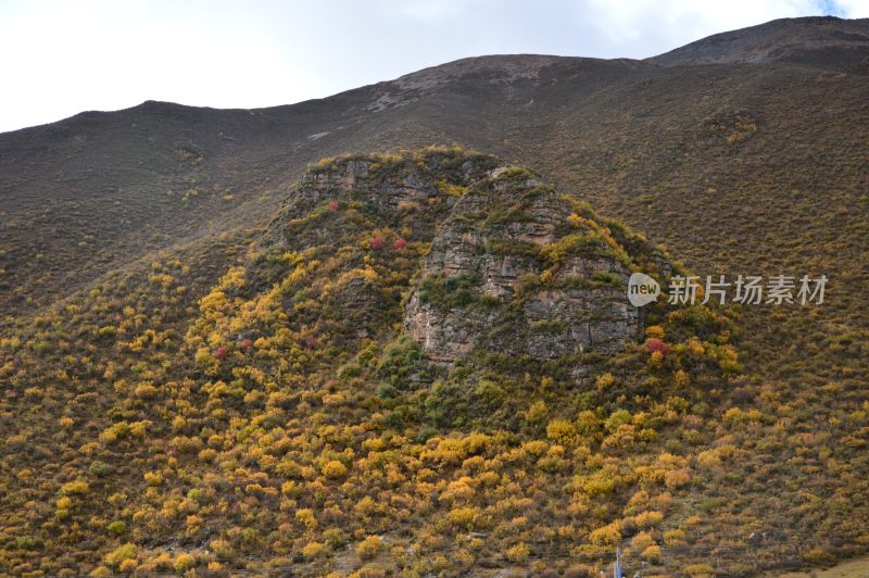 西藏沿路风景