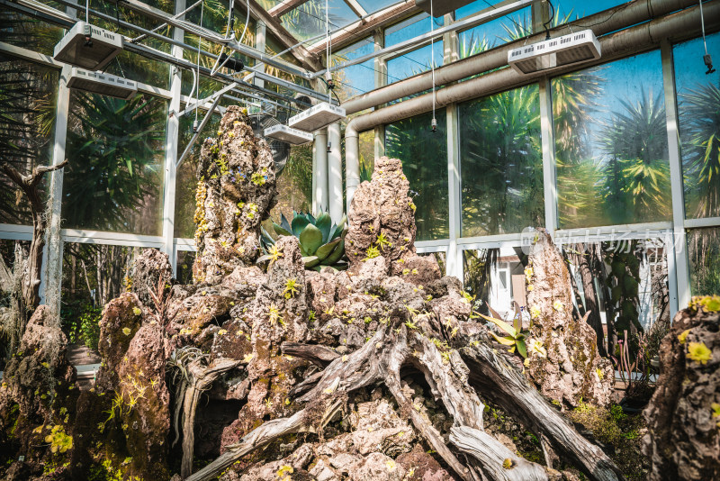 中科院昆明植物研究所 扶荔宫 食虫植物馆