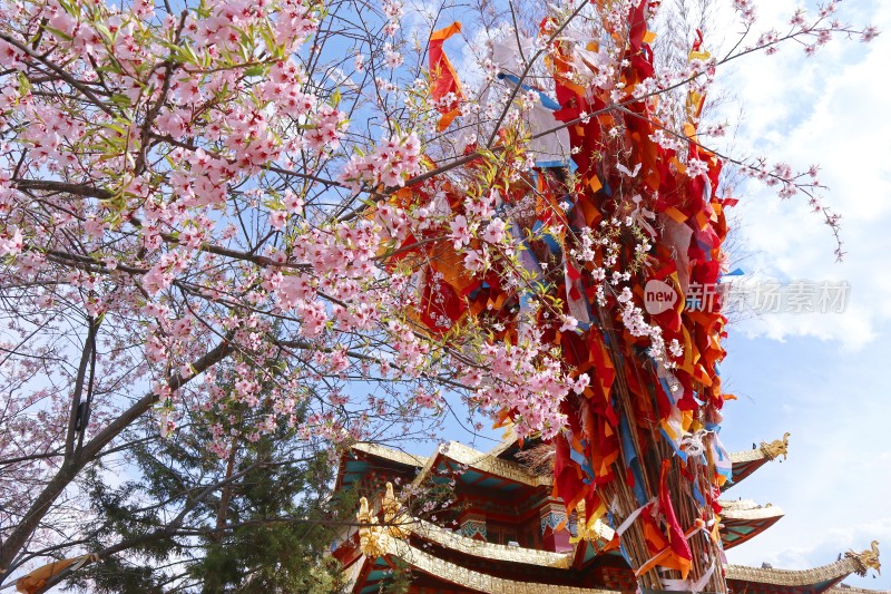 独克宗古城大佛寺